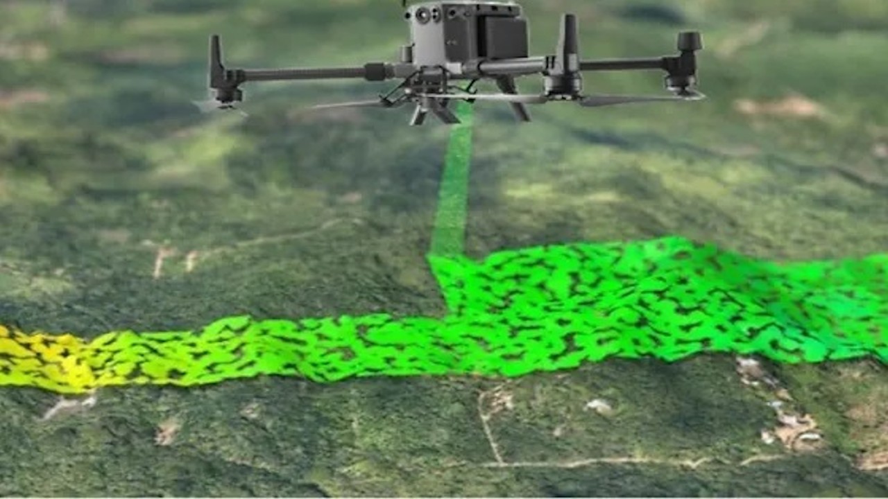 LiDAR forest survey